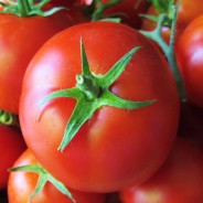 Keeping Tomatoes In The Garden