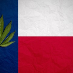 Medical Marijuana Bill Considered by Texas Lawmakers