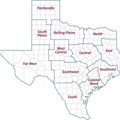 Wetter-Than-Normal Conditions Expected for Texas Agriculture