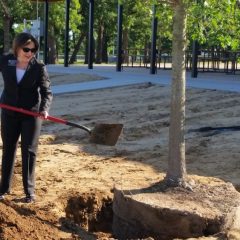 Mayor Celebrates Arbor Day Planting Tree in Buford Park