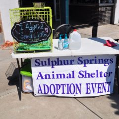 Volunteers of the Sulphur Springs Animal Shelter