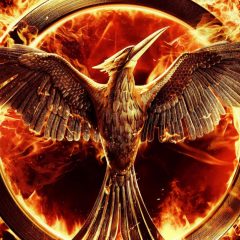 The Hunger Games- Mockingjay Trilogy at Buford Park Friday Night!