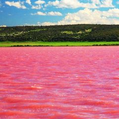 Lake Hillier The Pink Lake!