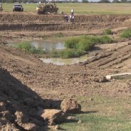 TWDB Accepting Agricultural Water Conservation Grant Applications