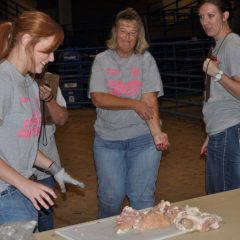 Sewing, Hay Bale Stacking, and Chicken Cutting: Cover Girl Thursday Night Competition