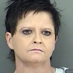 Greenville Woman Reported A Burglary; Police Found Meth