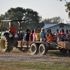 Hay Rides and Fun Times at the Shannon Oaks Pumpkin Patch