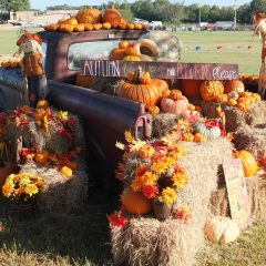 The Pumpkin Patch at Shannon Oaks Church Open Each Saturday in October!