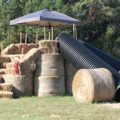 ECLC Kids Visit SOC Pumpkin Patch