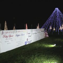 Video Presentation: 22nd Anniversary of the Lights of Life Tree Lighting