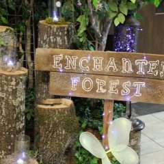 Enchanted Forest Father Daughter Dance: An Event to Remember