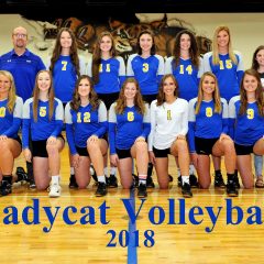 Eight Lady Cats Named to All-District Volleyball Team; 11 Receive Academic All-District Honors