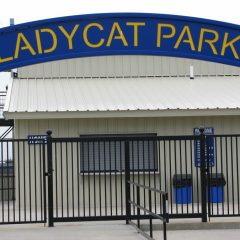 Lady Cats Softball Goes Perfect 7-0 to Start Season