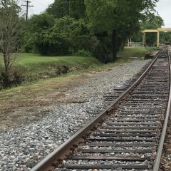 Police: Woman Found Dead In College Street Drainage Ditch