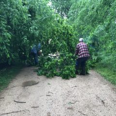 Precinct 3 Roads Being Cleared As Fast As Possible