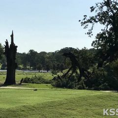 Power Outages, Downed Trees, Street Flooding Caused By Storms