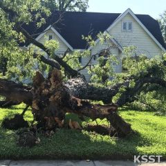 Local Storm Report from Wednesday June 19