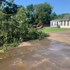 City To Open Site Saturday To Help Residents Get Rid of Debris From Recent Storm