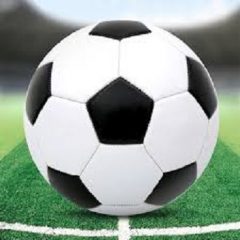 Wildcats and Lady Cats Soccer Teams Have Thursday Tournament Games