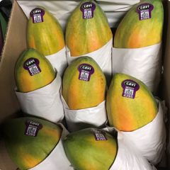 FDA Calling For Voluntary Recall Of Some Fresh, Whole Papayas Due to Salmonella