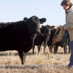 New CattleWomen’s Organization Forming to Serve 10 NeTx Counties