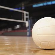 Lady Cats Volleyball Continues Busy Two Weeks, Playing Four or More Contests