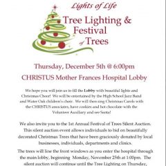 Lights of Life Tree Lighting & Festival Of Trees December 5th