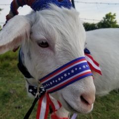 July Fun at NE Texas Childrens Museum