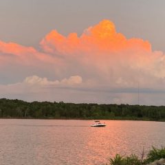 Texas Game Wardens’ Operation Dry Water Campaign Effective in Reducing BWIs