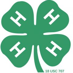 Texas 4-H Year Officially Starts Sept. 1, Enrollment Currently Open