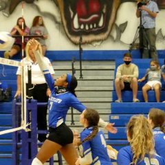 Lady Cats Volleyball on Game Day Tuesday, Team Tennis Match Postponed