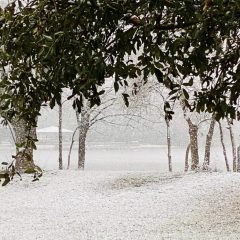 Sunday’s Snowfall in Sulphur Springs Yielded 1.5 Inches