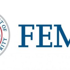 Understanding Your FEMA Determination Letter and How to Appeal