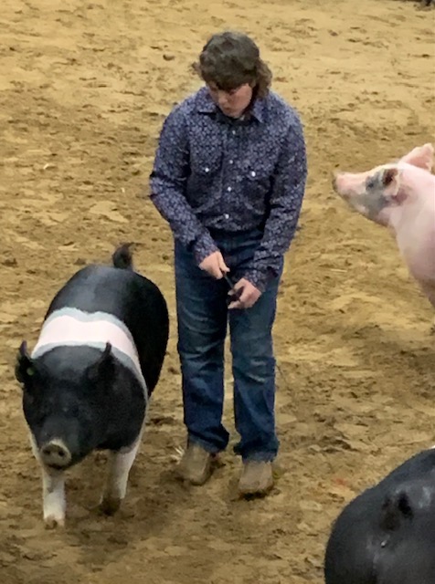 HC Junior Market Livestock Show 2021, Swine Division - Ksst Radio