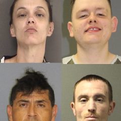 Five Arrested On Felony Warrants