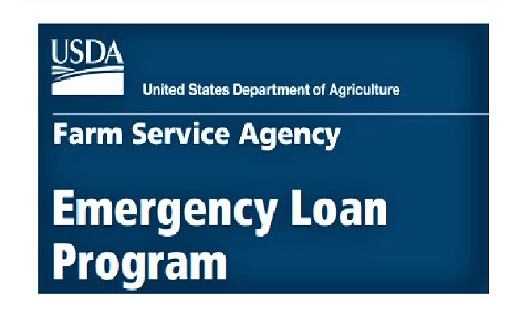 USDA Disaster Designation Makes FSA Funding Available To Eligible ...