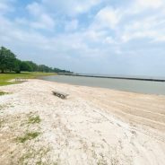 June Is The #1 Month For Swimming And Summer Fun At Cooper Lake State Park