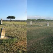 Building Resiliency in Historic Cemeteries