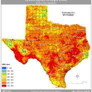 90-Day Burn Ban Issued For Hopkins County