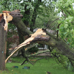 National Weather Service Releases Information On Pickton’s Thursday Tornado