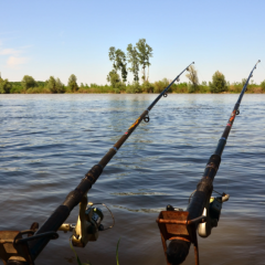 Free Fishing Day in Texas Scheduled for June 1