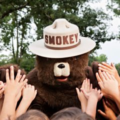 Smokey Bear Turns 79