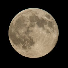 Harvest Moon with Partial Eclipse Tuesday Night