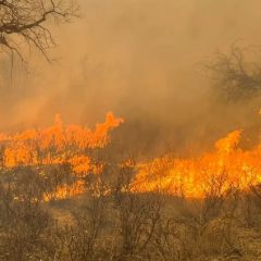 Governor Abbott Deploys Additional State Firefighting Resources As Wildfire Threat Increases