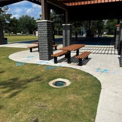 Pacific Park Damaged: Sulphur Springs Police Need Your Help