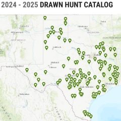 Texas Drawn Hunt Program Opens for the 2024-25 Season Applications