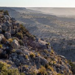 Secretary Haaland Designates Texas Preserve as Nation’s Newest National Natural Landmark