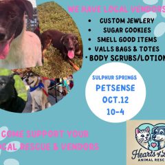 Adoption Event at Petsense in Sulphur Springs on Saturday