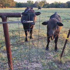 Welding Outdoors in Drought Conditions