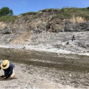 Fossil Day in Ladonia Texas